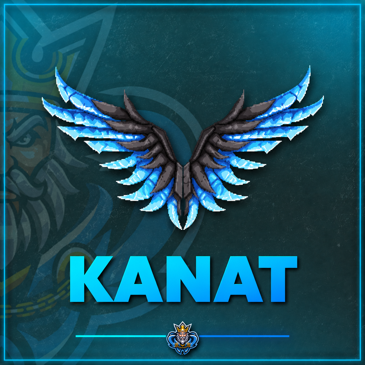 Özel Kanat